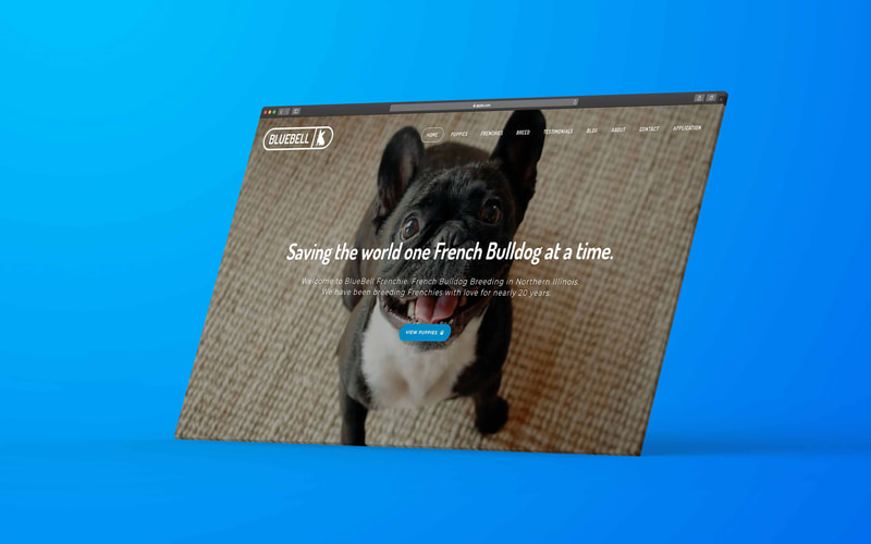 BlueBell Frenchie / Website Development / Dog Breeder